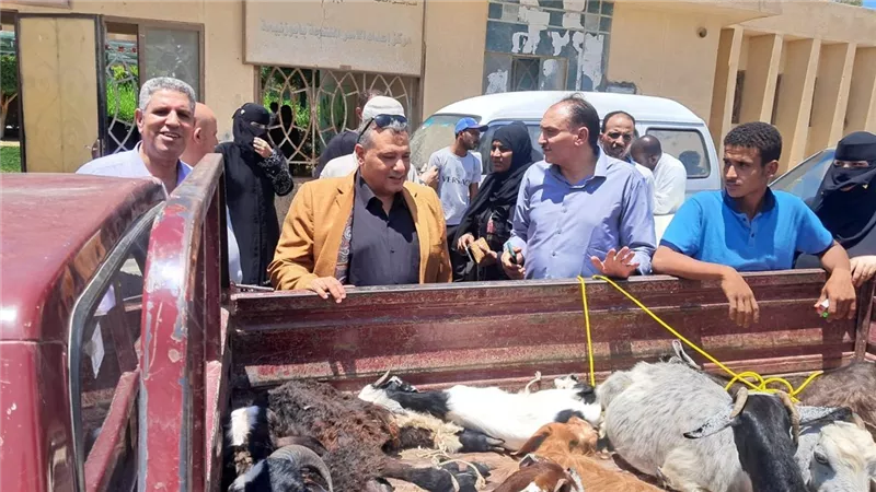 التضامن الاجتماعي تنفذ 140 مشروعًا تنمويًا للأسر الأولى بالرعاية في جنوب سيناء