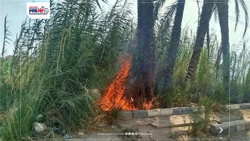 إخماد حريق بالطريق الزراعي في مغاغة بالمنيا ومنع امتداد النيران 
