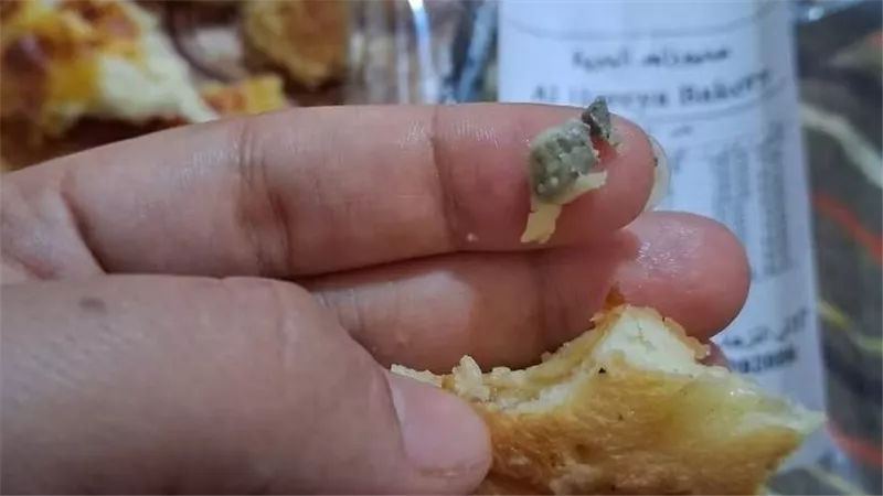   «قطعة طوب في بيتزا بنتها».. سيدة تفضح تجربتها الصادمة مع مخبوزات فرن شهير