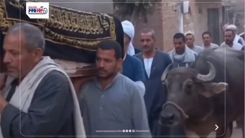 مشهد يقطع القلب في الفيوم.. جاموسة ترفض فراق صاحبها وتلاحق نعشه حتى مثواه الأخير