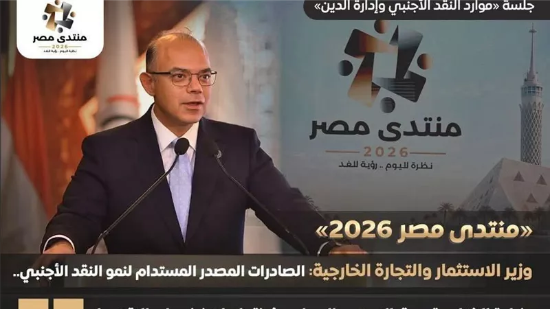 وزير الاستثمار والتجارة الخارجية 