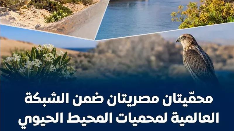 تضم مصر محميتين ضمن الشبكة العالمية لمحميات المحيط الحيوي التابعة لليونسكو