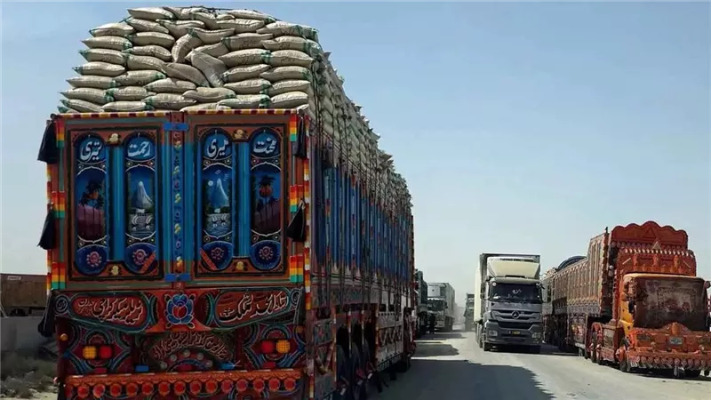أرشيفية 