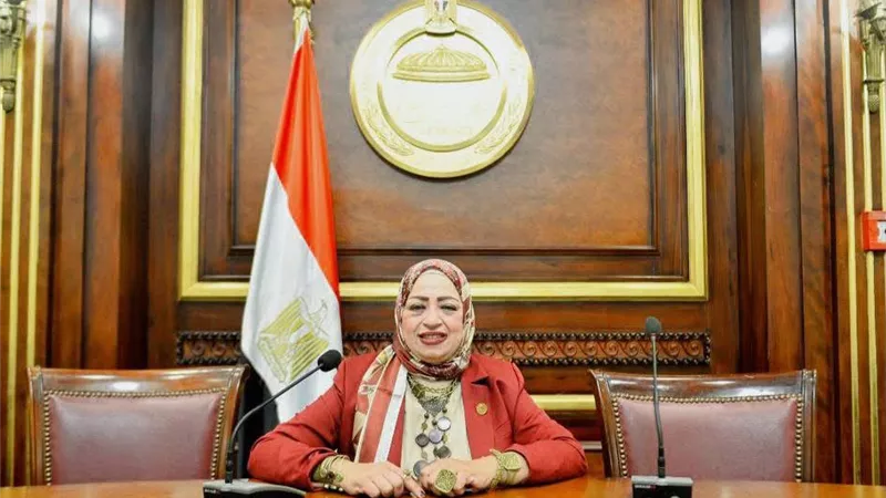 حنان سليمان: برنامج التحول الاقتصادي يضع مصر أمام مرحلة جديدة من النمو الإنتاجي ويعزز قدرة الاقتصاد