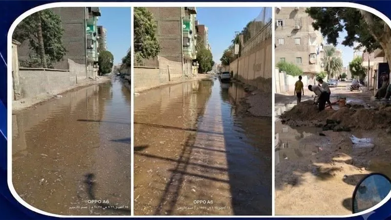 جانب من المتابعة 