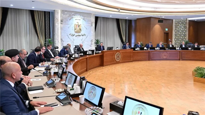 مجلس الوزراء 