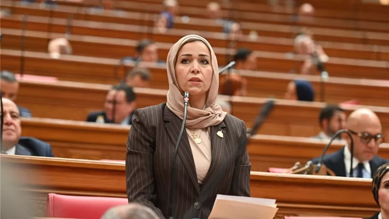نائبة الشعب الجمهوري: الأمن القومي العربي وحدة واحدة.. ومصر لن تتخلى عن أشقائها