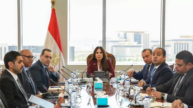 المهندسة راندة المنشاوي