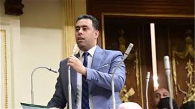 النائب أحمد فرغلي 