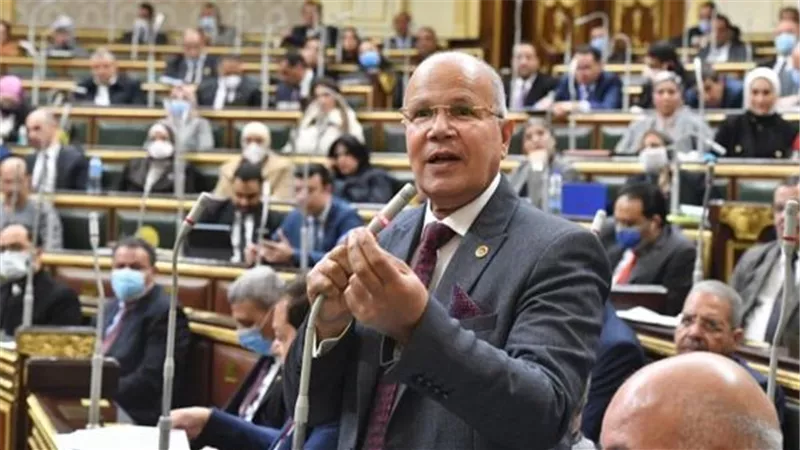 برلماني عن قانون الرقم القومي الموحد: يمنع المغالاه في الضريبة العقارية