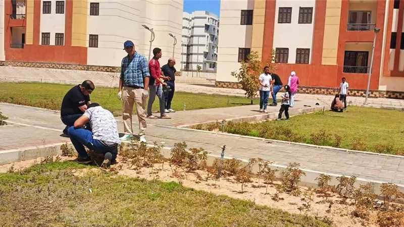 زراعة أشجار مثمرة في «العبور الجديدة» ضمن مبادرة 100 مليون شجرة