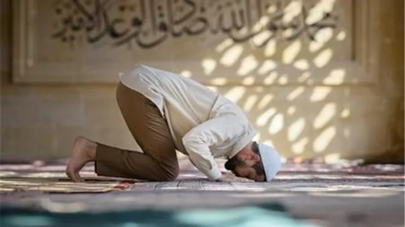 في المنزل أم المسجد.. ما الأفضل في صلاة النوافل ومنها صلاة الضحى؟