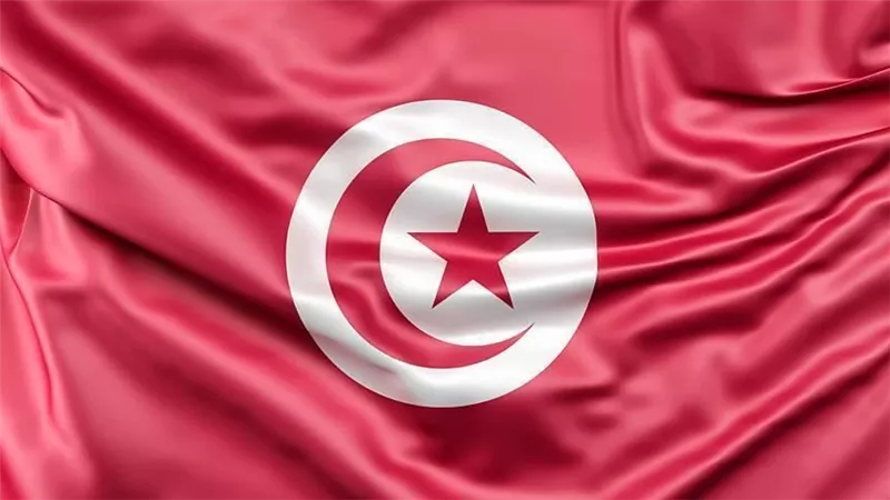 صالون الابتكار.. منصة وطنية لإحياء الصناعات التقليدية وترويجها بتونس|فيديو 