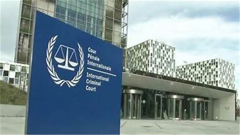 مصر تطالب إسرائيل بضمان حماية المنظمات الإنسانية بغزة