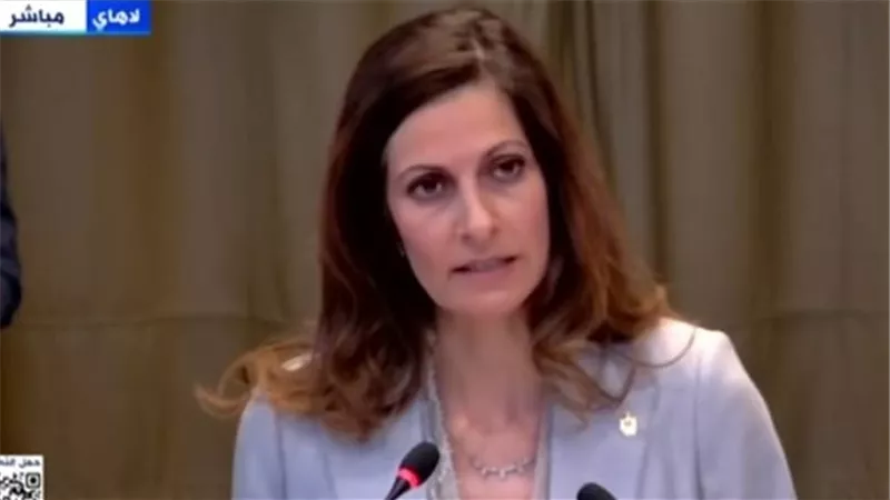 مصر تطالب بانسحاب إسرائيل من كافة الأراضي المحتلة