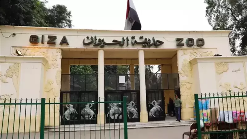 بشرى سارة.. افتتاح حديقة الحيوان قبل نهاية العام المقبل بنظام تشغيل جديد 