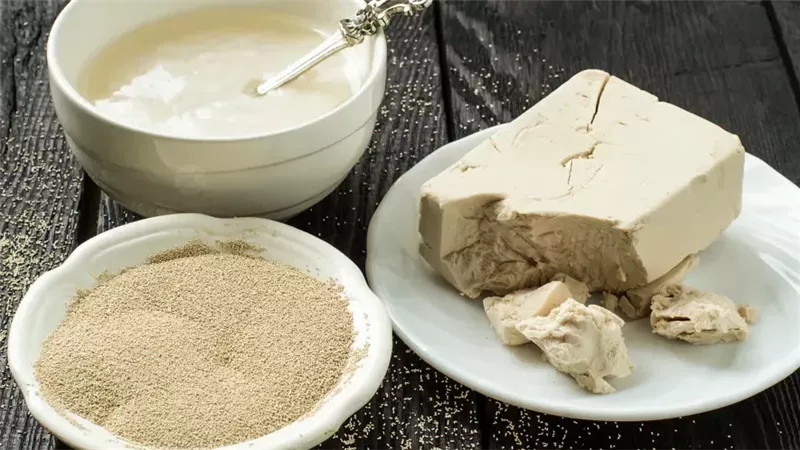 لماذا تعتبر أقراص الخميرة مفيدة لصحة الجهاز الهضمي؟ اكتشف الإجابة
