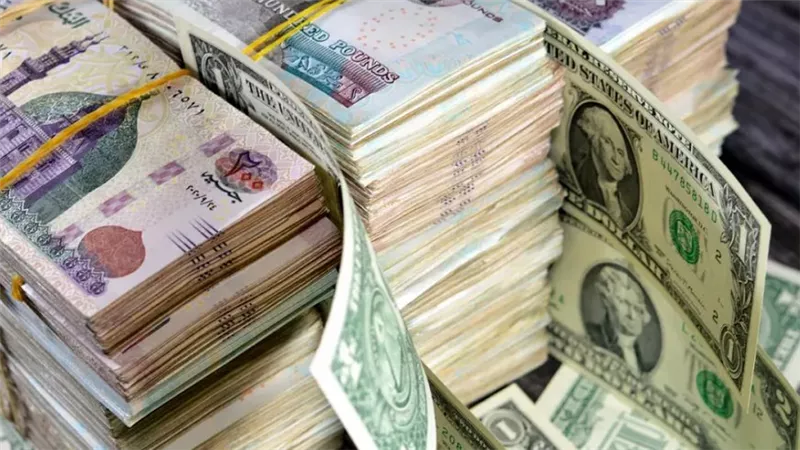 بعد الهبوط.. سعر الدولار يصل الـ 50 ببداية تعاملات اليوم الثلاثاء