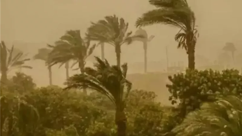 مركز المناخ يحذر: منخفض خماسيني يضرب البلاد ويؤثر على الزراعة