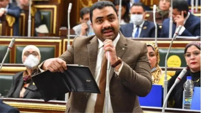 طلب إحاطة من النواب لرئيس الوزراء ووزيري الزراعة والري بشأن زراعة الأرز