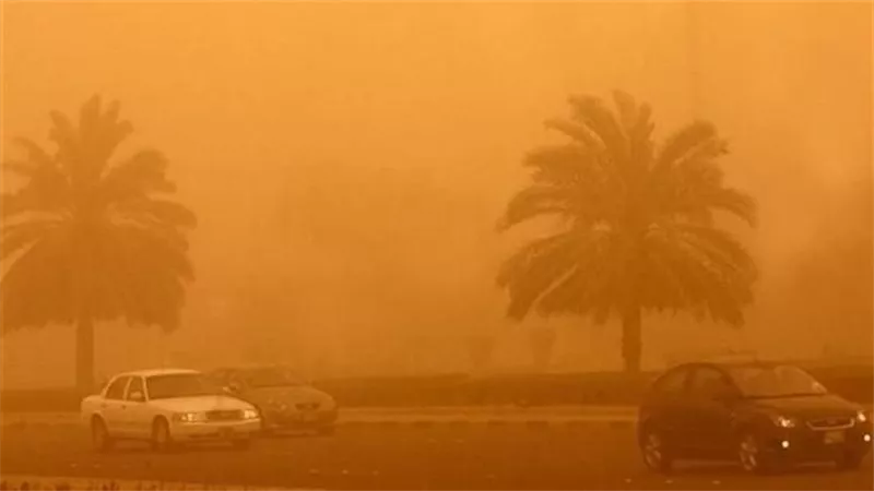 لمرضي الجيوب الأنفية .. روشتة من طبيب للتعامل مع العاصفة التربية 
