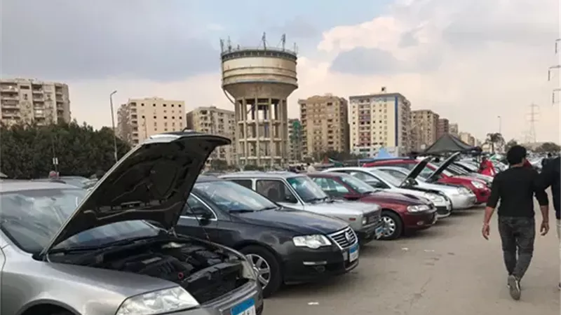 علاء السبع: انتعاش مرتقب لسوق السيارات المصرية بدعم إجراءات حكومية | فيديو
