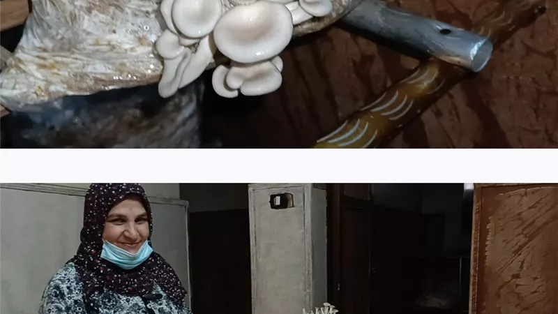 بمساعدة والدته.. شاب عشريني من الشرقية ينجح في مشروع 