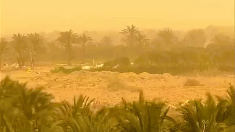مصر تحت الغبار.. عاصفة رملية تجتاح البلاد وتحذيرات من تأثيرها على المرور 