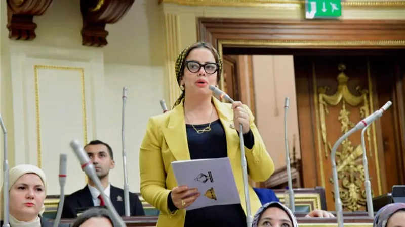 رشا كليب : مشروع قانون الثروة المعدنية سيخلق بيئة جاذبة للاستثمار