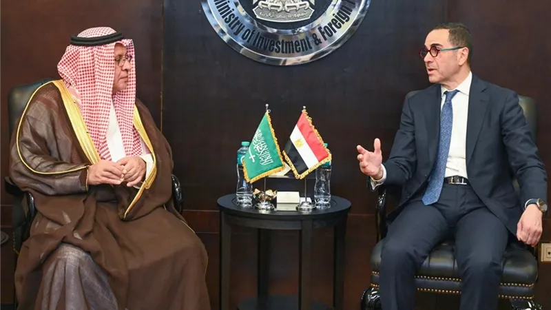 وزير الاستثمار  يلتقي الأمين العام للمجلس التنسيقي المصري السعودى