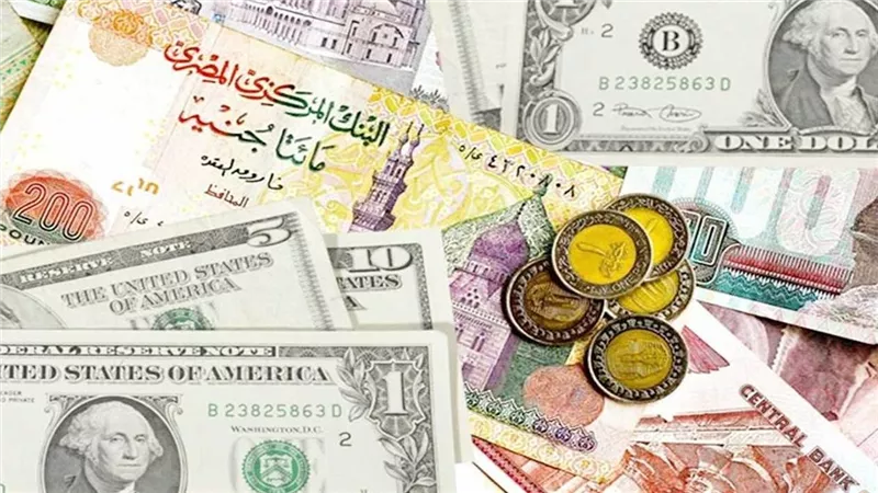 ضربات متلاحقة لمافيا العملة.. ضبط قضايا اتجار بنحو 33 مليون جنيه خلال 24 ساعة