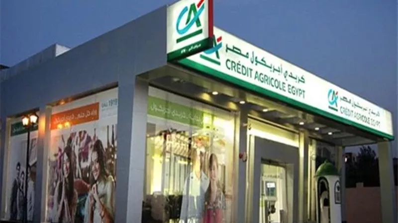 3.5 مليار جنيه   صافي أرباح بنك كريدي أجريكول بنهاية يونيو 2025