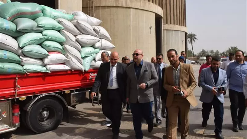 توريد 30 ألف طن قمح داخل 22 موقع تخزينى في بني سويف