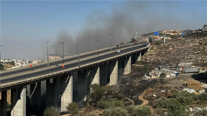 حرائق ضخمة تضرب مستوطنات غرب القدس وإسرائيل تطلب مساعدات دولية