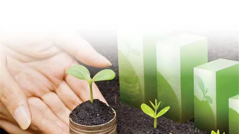التمويل الأخضر.. أداة البنوك المصرية لبناء اقتصاد منخفض الكربون 