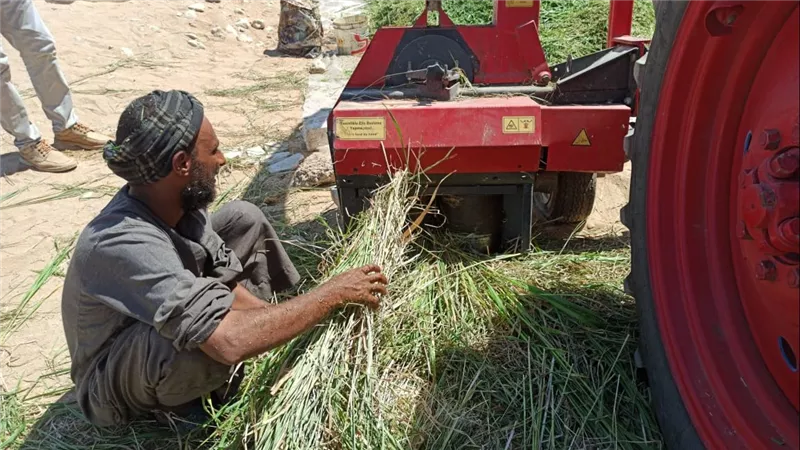 مواجهة تحديات عمال التراحيل ضرورة اقتصادية                 