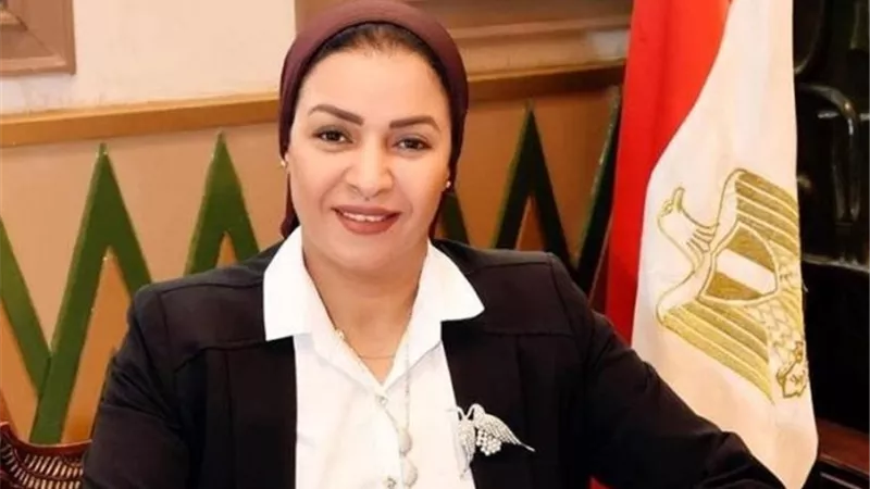 برلمانية عن قانون العمالة المنزلية: يوفر الضمانة الكاملة لحقوقهم