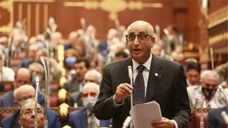 برلماني: موجة الاعترافات الدولية بالدولة الفلسطينية انتصار للإرادة العالمية