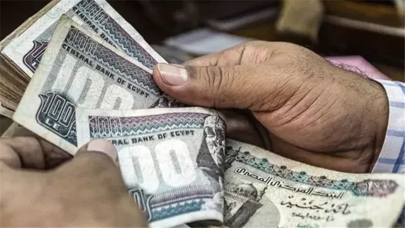 عميد حاسبات ومعلومات النهضة بجامعة: تحسين أوضاع أعضاء هيئة التدريس ضرورة 