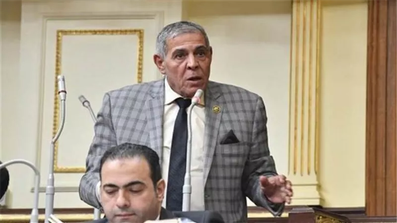 «كان معاه نسخة مسرّبة».. برلماني يكشف كواليس «خناقة» النواب 