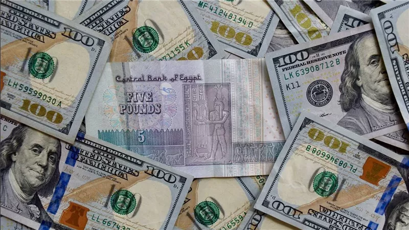 استقرار رغم التراجع.. سعر الدولار اليوم 2025/5/25 أمام الجنيه ببداية التعاملات