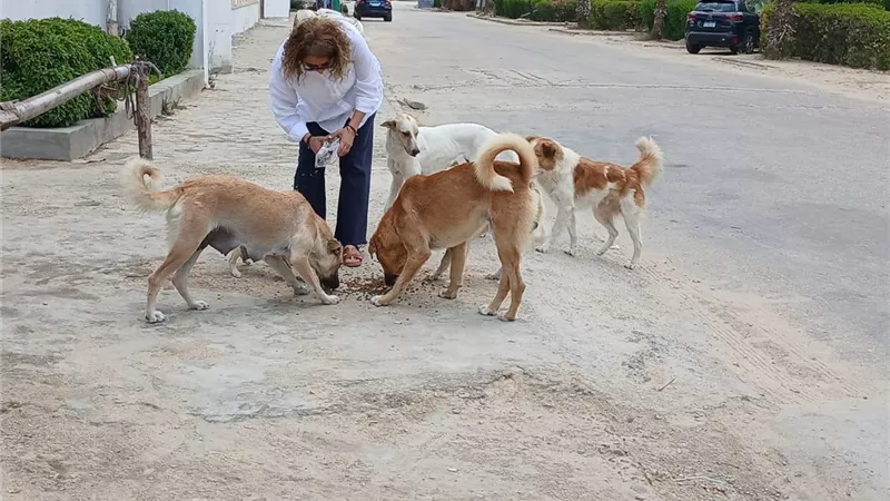 بعد نشر 