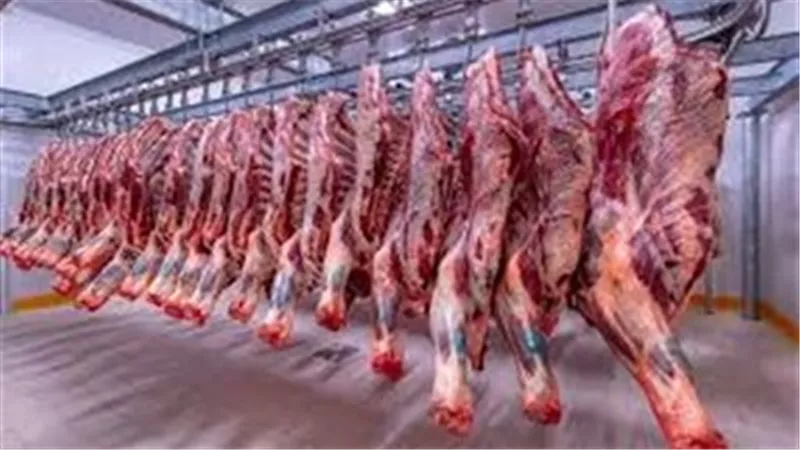 أسعار اللحوم الحمراء اليوم السبت 23 أغسطس 2025 في الأسواق