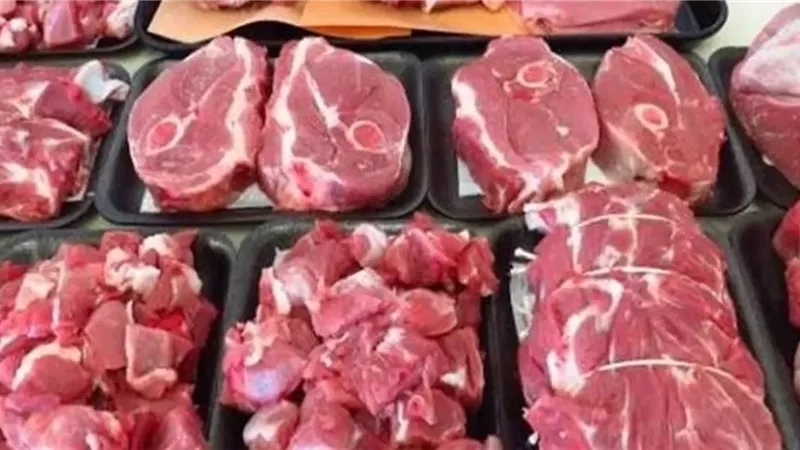 «شعبة المستوردين»: 35% زيادة في استيراد اللحوم استعدادا لعيد الأضحى| خاص