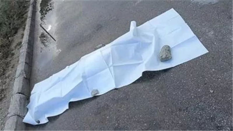مصرع طفلة صدمتها سيارة أثناء عبورها الطريق في طهطا بسوهاج 