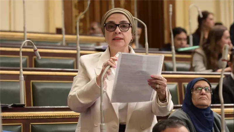 سؤال برلماني لرئيس الوزراء ووزير البترول حول وقائع غش البنزين.. والوزارة ترد