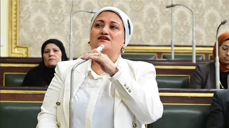  لـ 4 قطاعات.. مطلب برلماني بتقسيم الحد الأدني للإيجار القديم