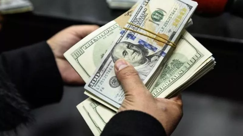 بنسبة 80.7%.. كيف تطورت تحويلات المصريين بالخارج خلال 6 أشهر؟ 
