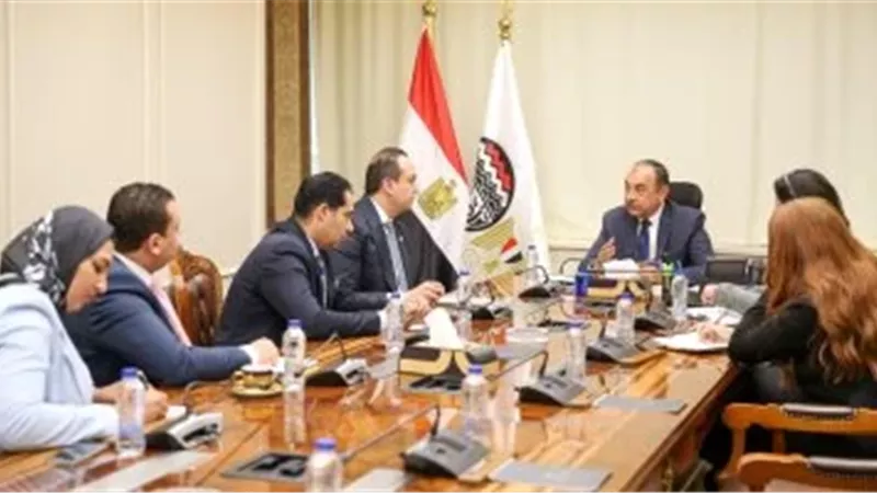 الشيمي وسبكي يبحثان تشكيل فرق عمل مشتركة لوضع آلية تنفيذية للمجالات المقترحة 