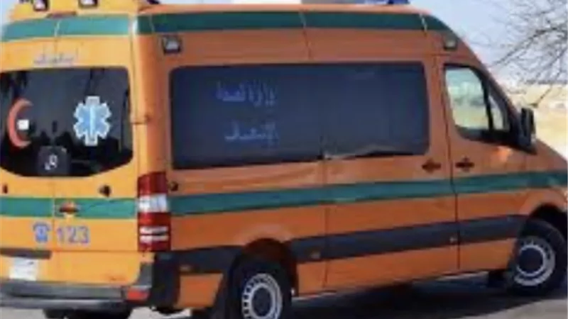 بالأسماء.. إصابة 4 أشخاص في تصادم سيارتين ملاكى في المنصورة